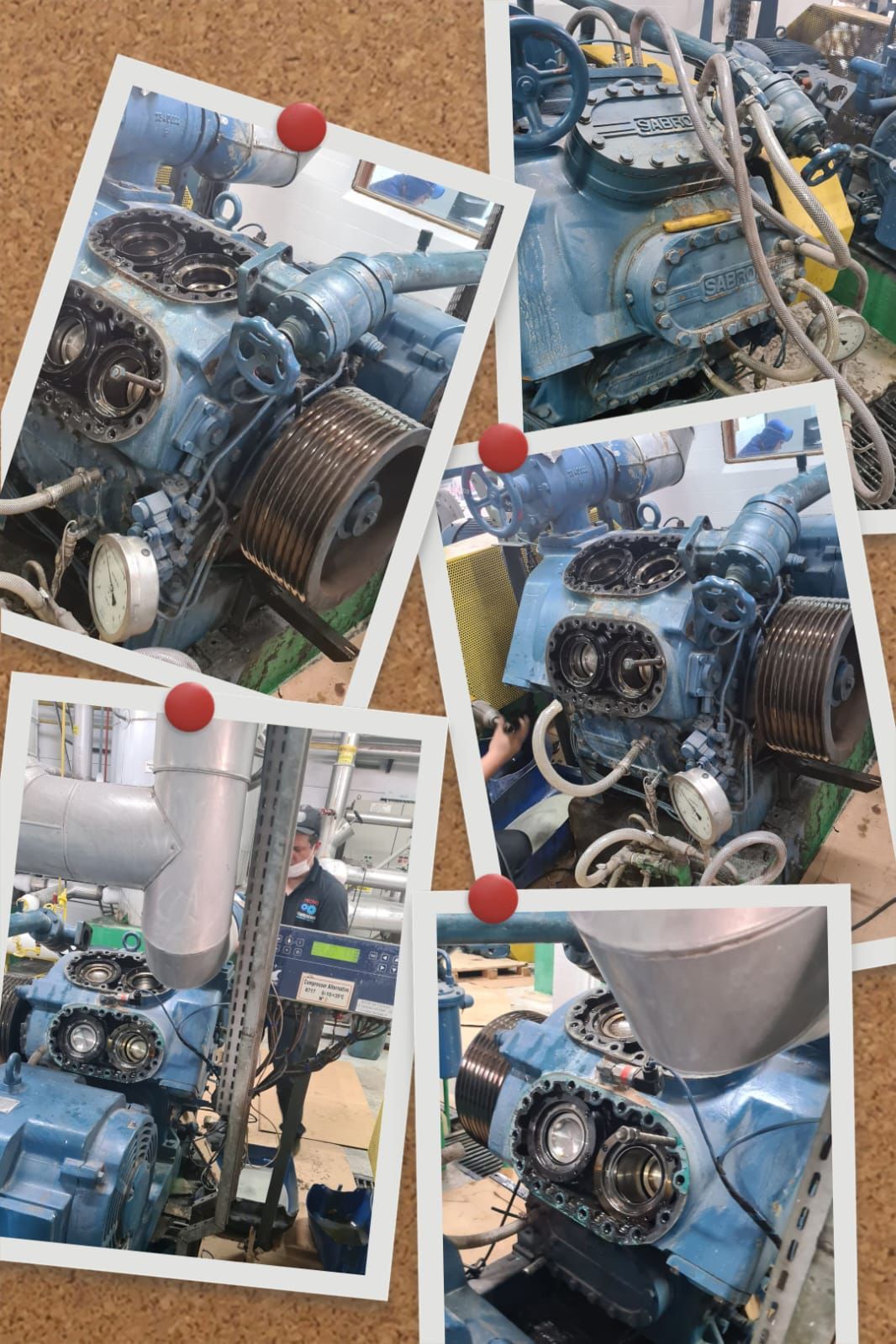 Galeria 3
